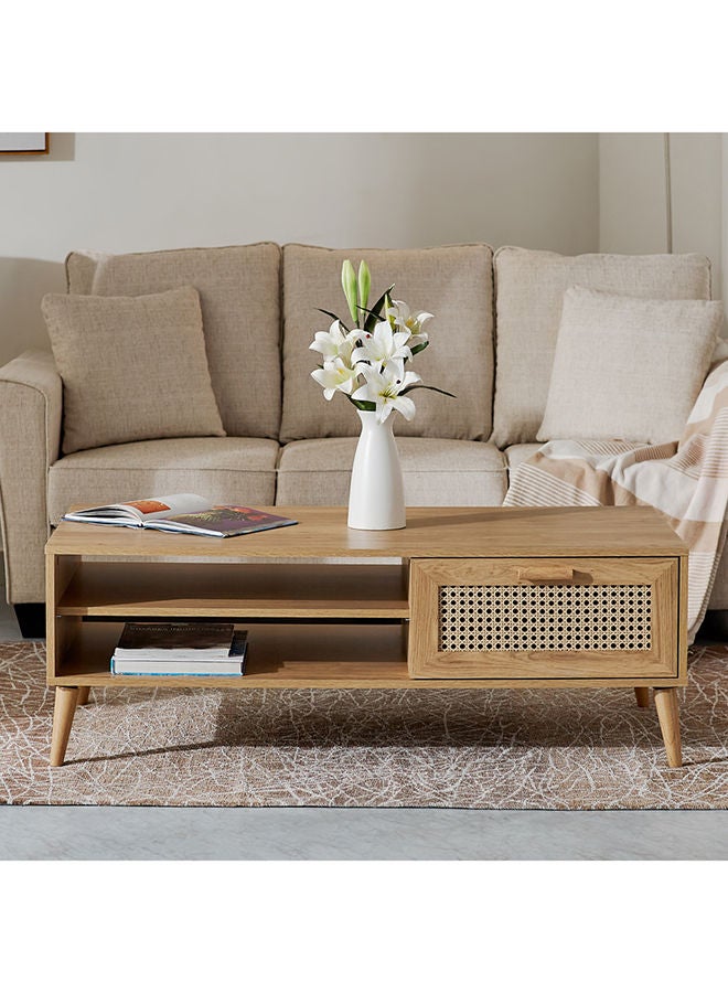 Home Box Nordic Rattan Coffee Table 54x45x120 cm  - Image 2