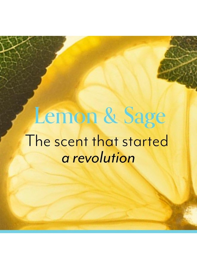 Bliss Lemon & Sage Trio: Soapy Suds Body Wash, Exfoliating Body Scrub & Lemon & Sage Body Butter - Hydrating & Nourishing for Soft, Radiant Skin - Image 3
