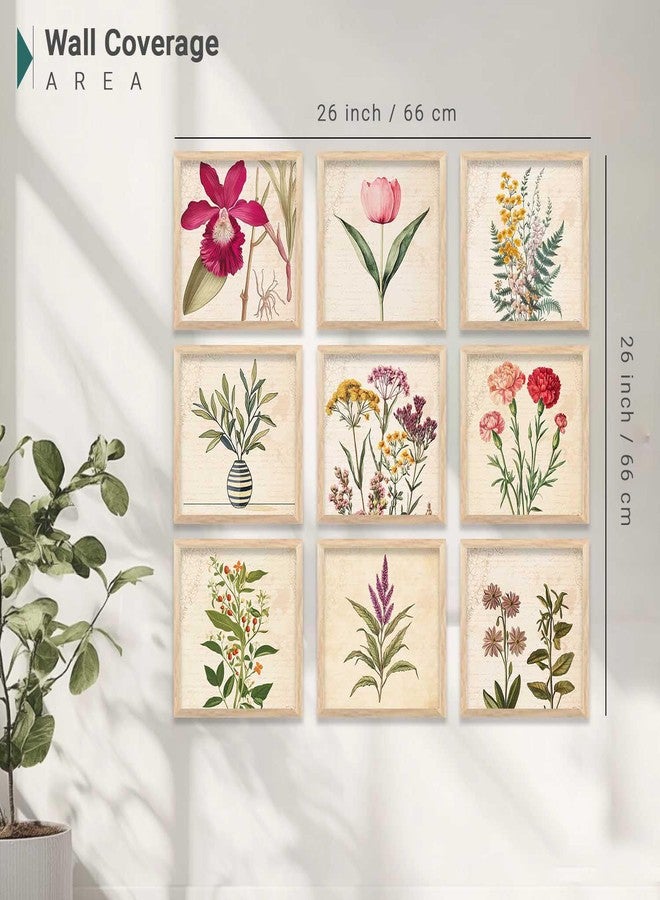 HOTHOUSE Engineered Wood Botanical Wall Art | Framed Poster | Set of 9 (Art 4, 8x8 inch, Framed) | Living Room, Bedroom, Guest Room - Image 3