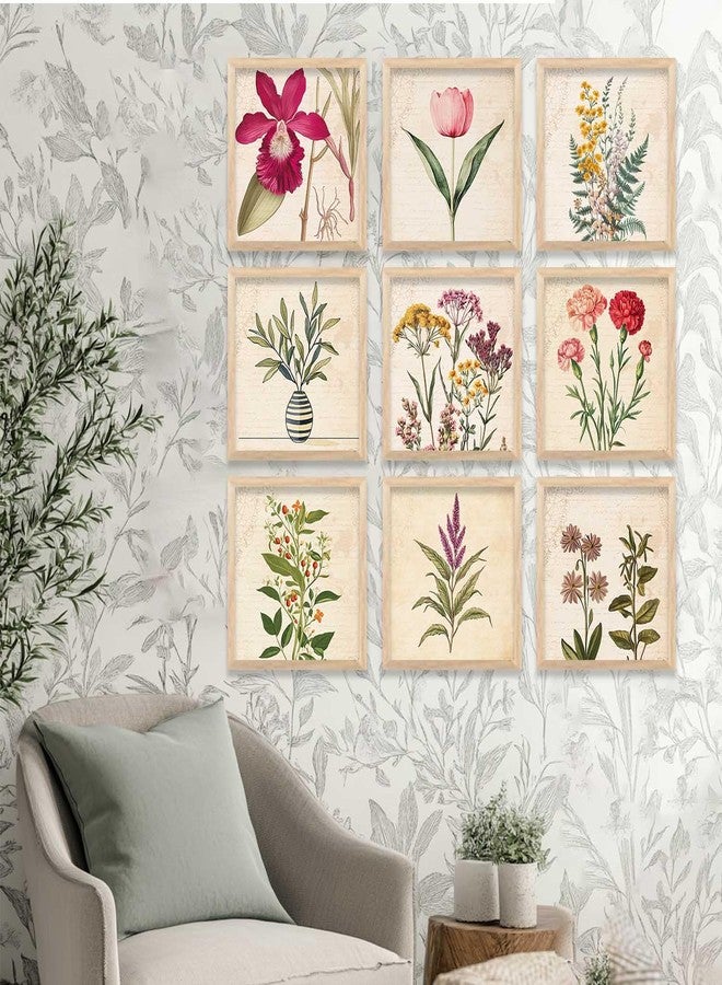 HOTHOUSE Engineered Wood Botanical Wall Art | Framed Poster | Set of 9 (Art 4, 8x8 inch, Framed) | Living Room, Bedroom, Guest Room - Image 4