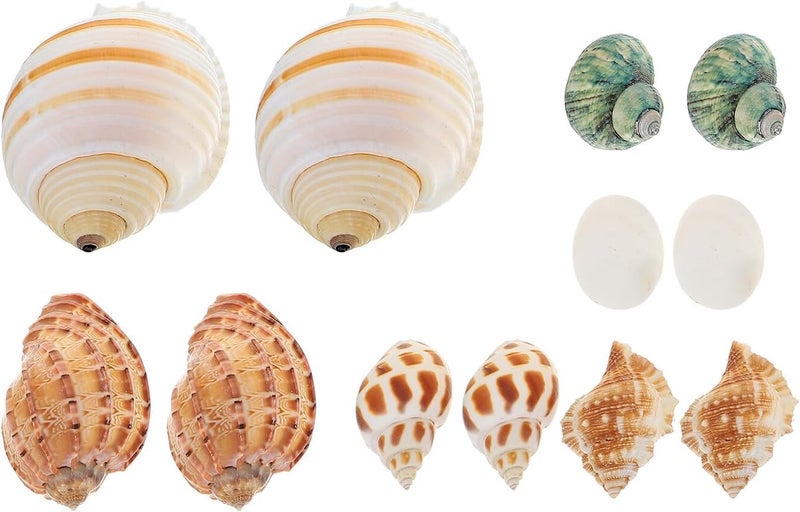 12pcs Aquarium Natural Conch Shells Set Hermit Crab Replacement Shells Fish Tank Landscaping Ornament Decorative Micro Landscaping Adornment for Freshwater and Saltwater Tanks - Image 1