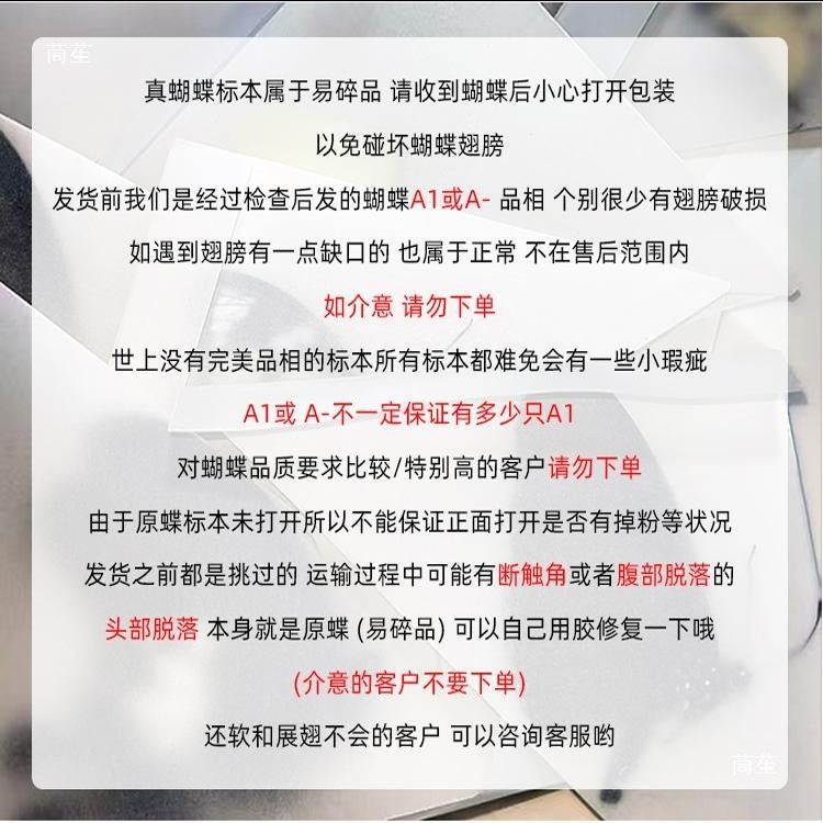 Unwingsed Original Butterfly Specimen A1/A-Quality Diy Handmade Raw Material Real Butterfly Triangle Bag Packaging Single Selection Variety - Image 3