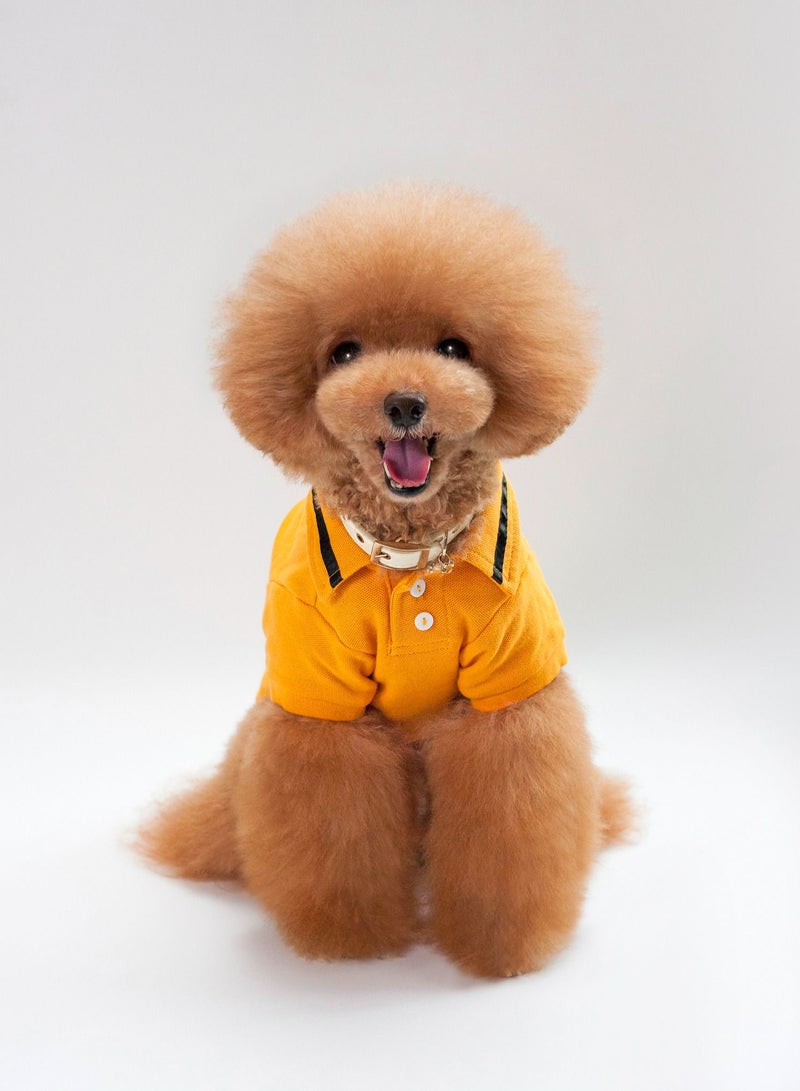 Casual dog T-shirt Yellow