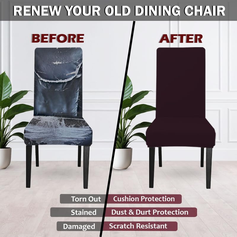 HOTKEI Polyester Blend Pack of 6 Wine 200 GSM Dining Chair Cover Set of 6 for Dining Table Chair Stretchable Seat Cover Covers Set of 6 Seater Chair - Image 2