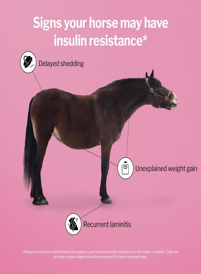 Formula 707 MetaStable Pellets for Horses 5 lb Bag - 40 Servings - University-Studied Support for Horses with Laminitis, Insulin Resistance & Metabolic Disorders - Image 3