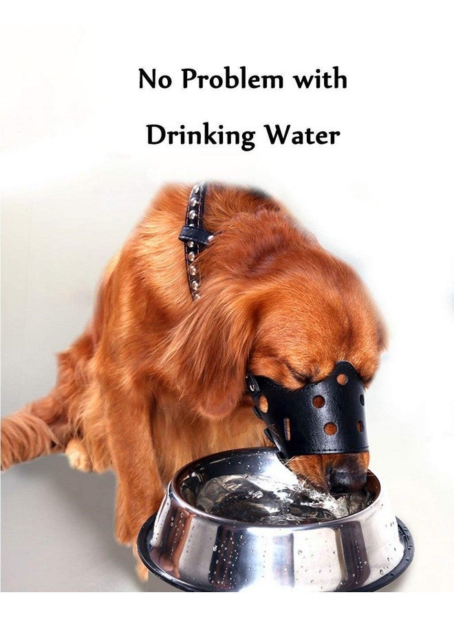 كمامة جلدية للكلاب، مريحة وآمنة ومضادة للنباح، قابلة للتنفس وقابلة للتعديل، تسمح بالشرب واللهاث، تستخدم مع الأطواق (متوسطة) - Image 4