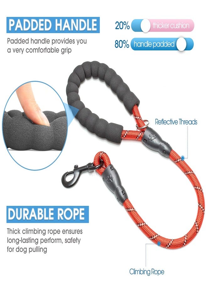 BAAPET 2/4/5/6 FT Dog Leash with Comfortable Padded Handle and Highly Reflective Threads for Small Medium and Large Dogs (2FT-1/2'', Red) - Image 2