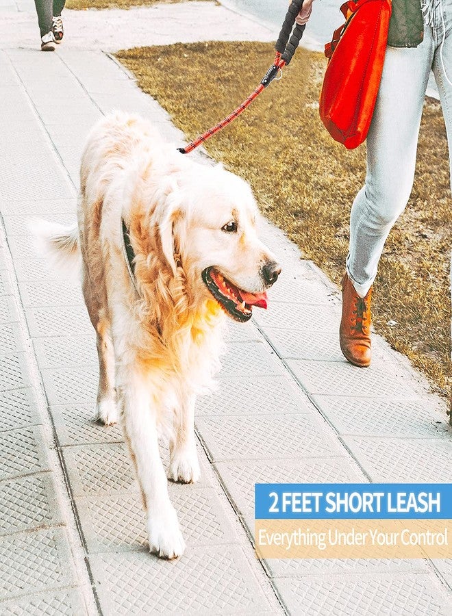 BAAPET 2/4/5/6 FT Dog Leash with Comfortable Padded Handle and Highly Reflective Threads for Small Medium and Large Dogs (2FT-1/2'', Red) - Image 5