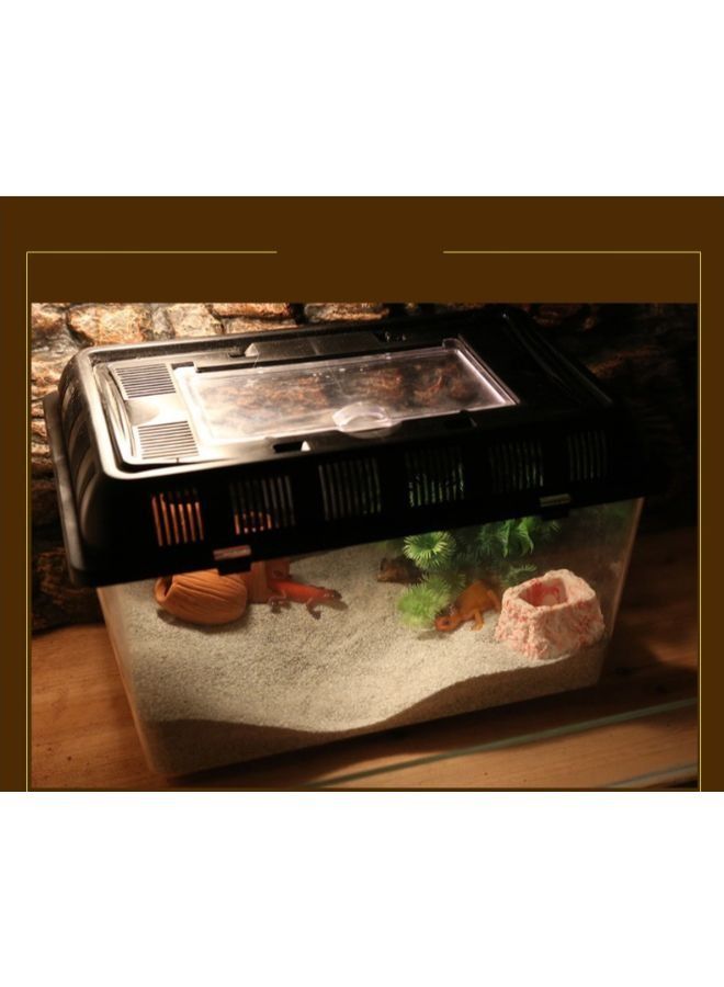 الزحف الطبيعي للزواحف - Image 2