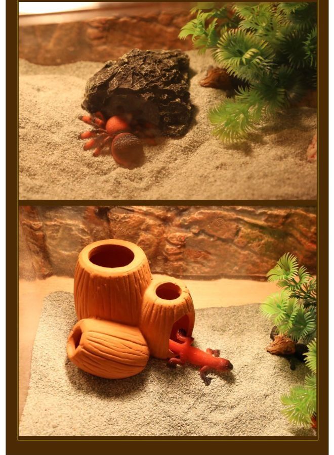 الزحف الطبيعي للزواحف - Image 3