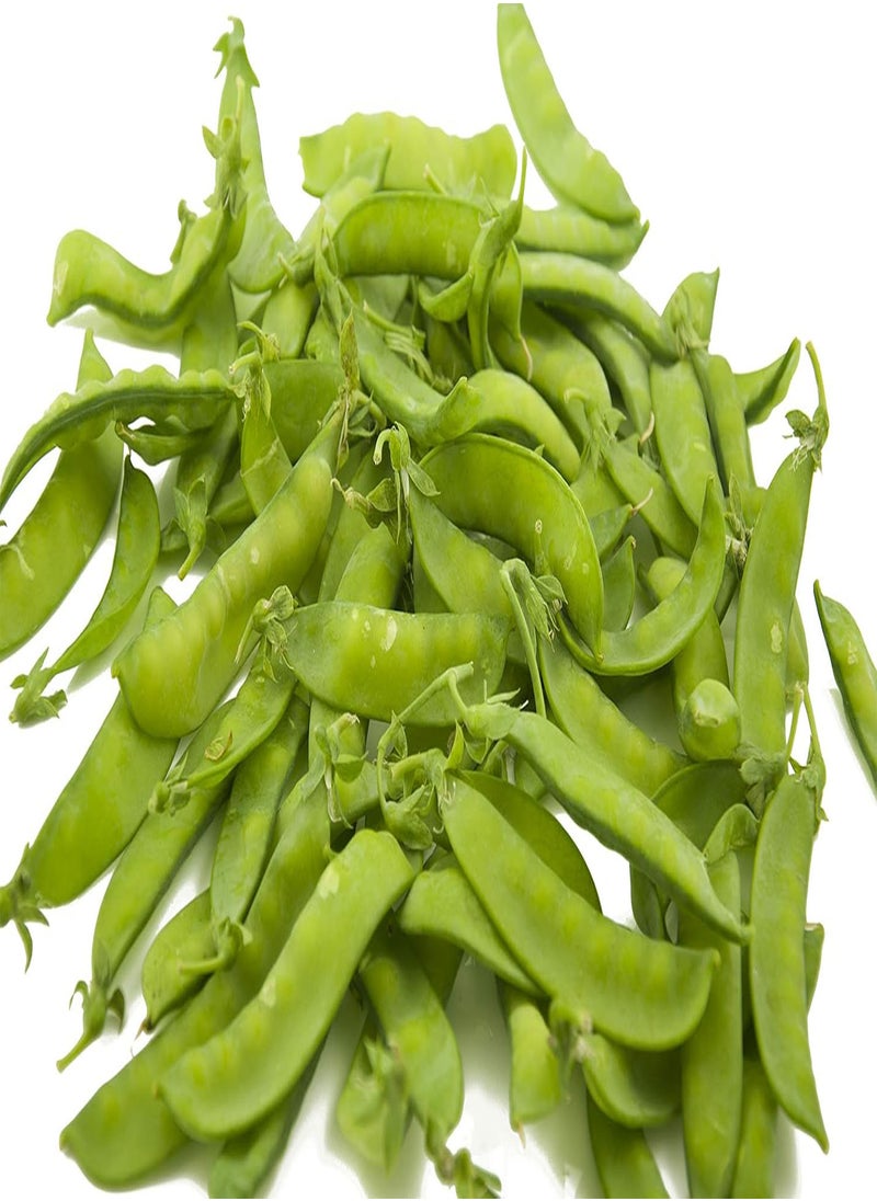 GGOOT Oregon Sugar Pod Pea - Pisum sativum VARmacrocarpon Vegetable Seeds, Also Known as Snow Pea or Mangetout Home Garden Planting by Heavy Torch, 400 Seeds 