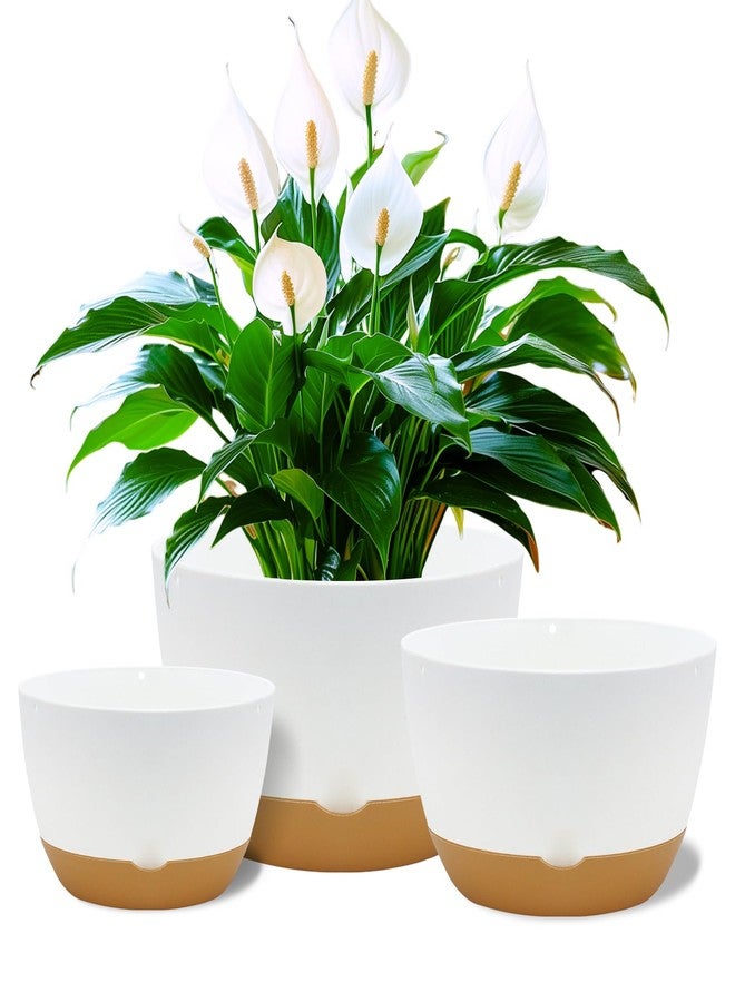 Koalaime Plant Pots 12/10/8 inch Set of 3, Large Modern Planter Pots with Drainage Holes and Saucers, Plastic Self Watering Flower Pots for Indoor Outdoor Plants Flowers - Image 1