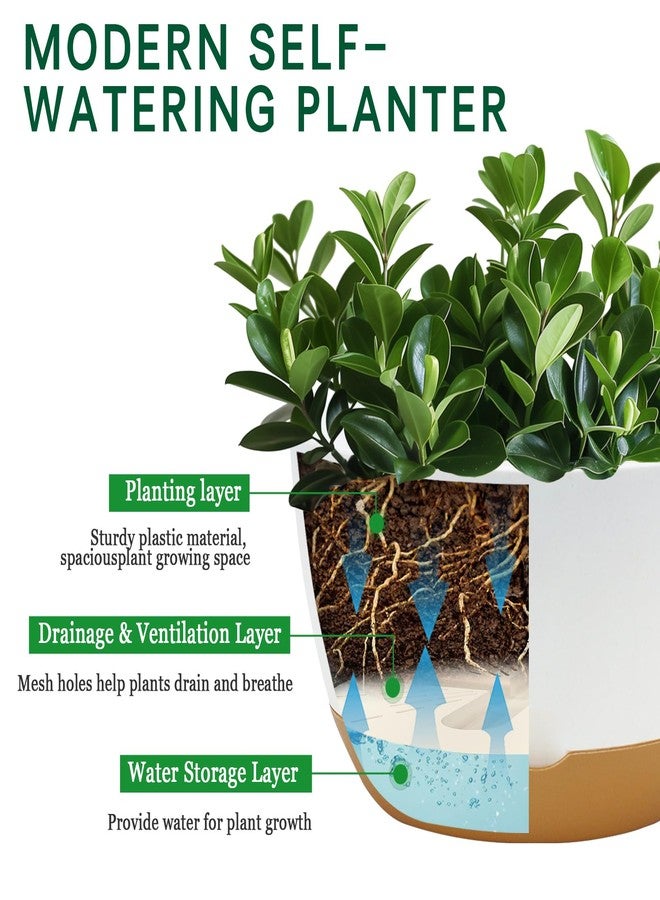 Koalaime Plant Pots 12/10/8 inch Set of 3, Large Modern Planter Pots with Drainage Holes and Saucers, Plastic Self Watering Flower Pots for Indoor Outdoor Plants Flowers - Image 3