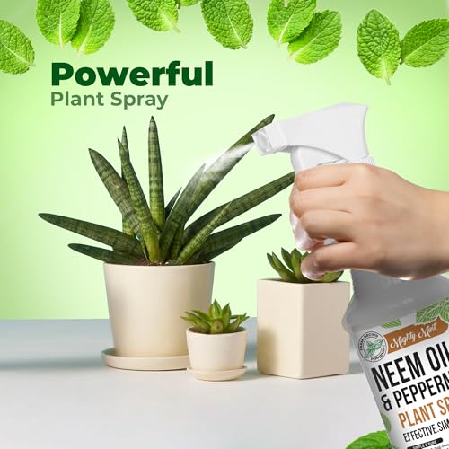 Mighty Mint Neem Oil Peppermint Plant Nutrient Spray Natural Leaf Shine for Indoor Outdoor Use PlantBased Formula for Stronger Healthy Plants 16 oz Pack of 2 - Image 3