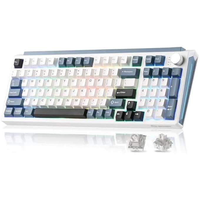 rayihni K98 WIRELESS MECHANICAL KEYBOARD,TRI-MODE BT5.0/2.4GHZ/USB-C HOT SWAPPABLE CUSTOM WIRELESS KEYBOARD,GASKET STRUCTURE,RGB BACKLIT GAMING KEYBOARD FOR WIN & MAC(WHITE&BLUE,MILK-V2 SWITCH) - Image 1