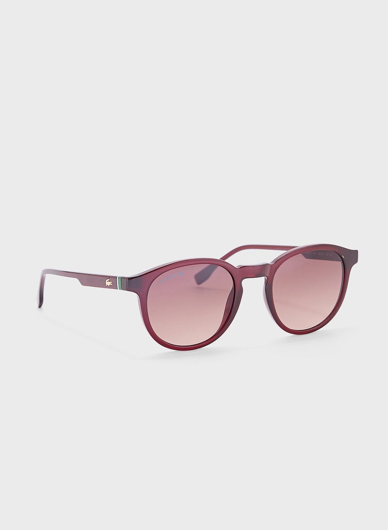 LACOSTE Round Sunglasses  - Image 1