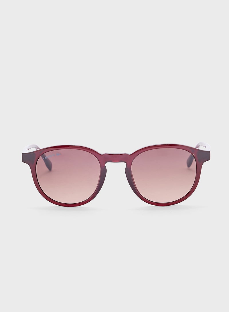 LACOSTE Round Sunglasses  - Image 2