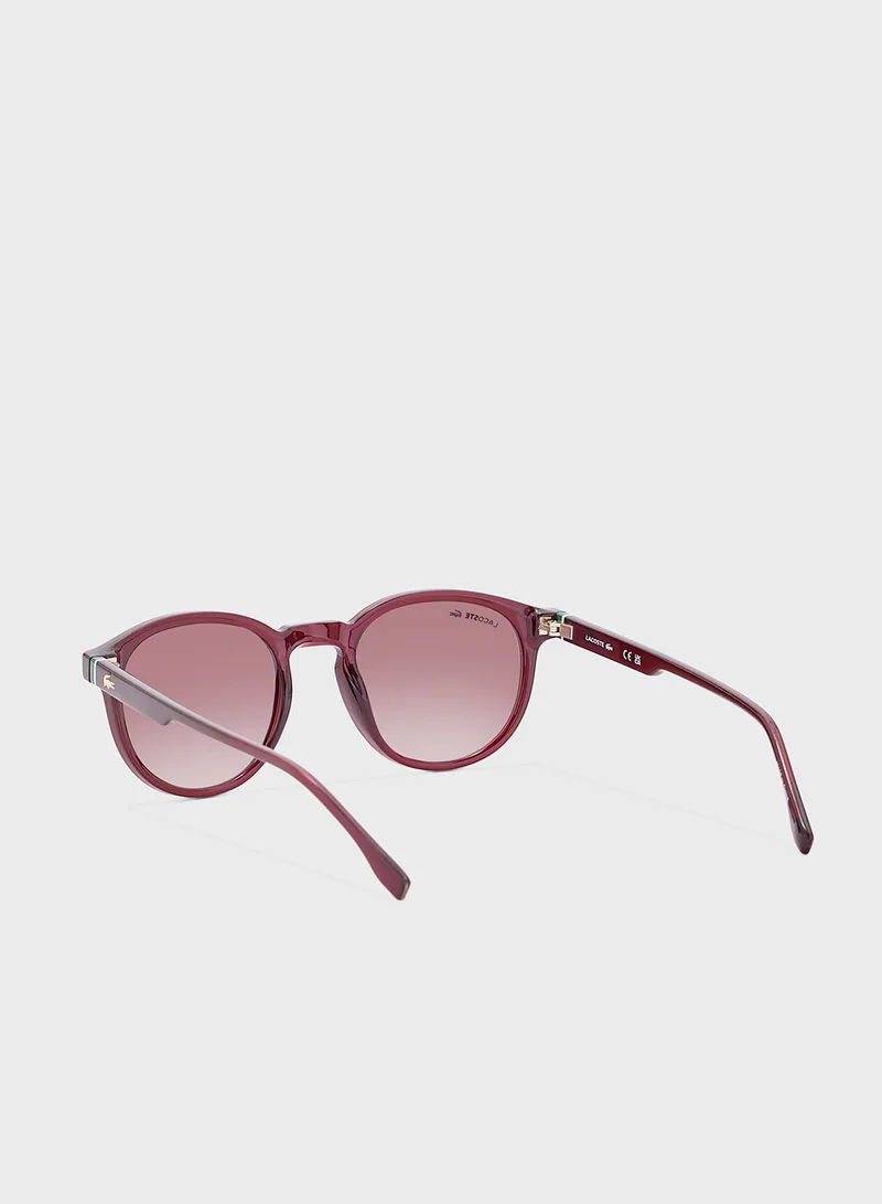 LACOSTE Round Sunglasses