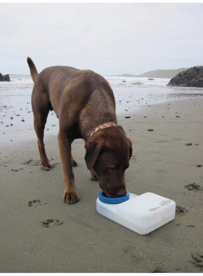 Lixit Dog Travel Water Bowl 3 Quarts - Image 5