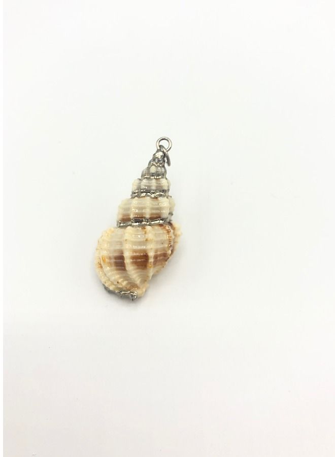 1 Piece Of Jewelry Making Sea Shell - Image 2