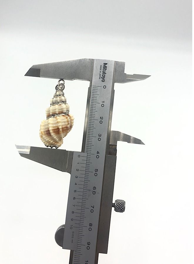 1 Piece Of Jewelry Making Sea Shell - Image 3