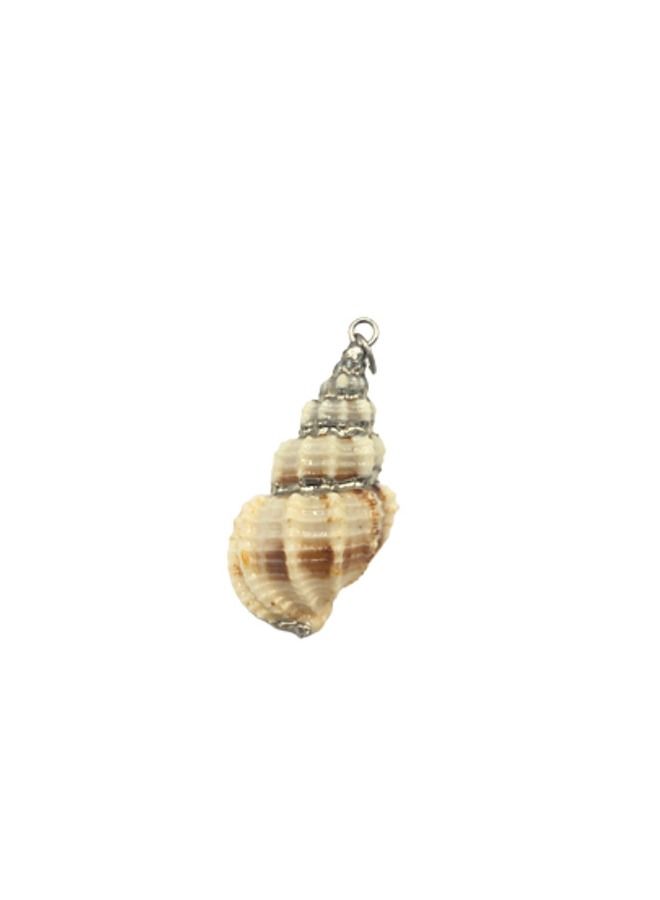 1 Piece Of Jewelry Making Sea Shell - Image 1