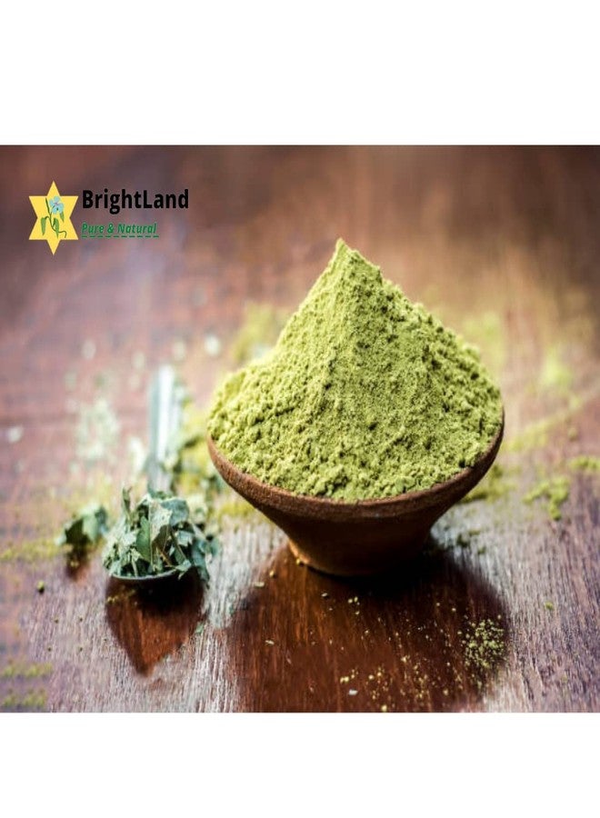Brightland Indigo Powder for Hair (100gm) - Image 2