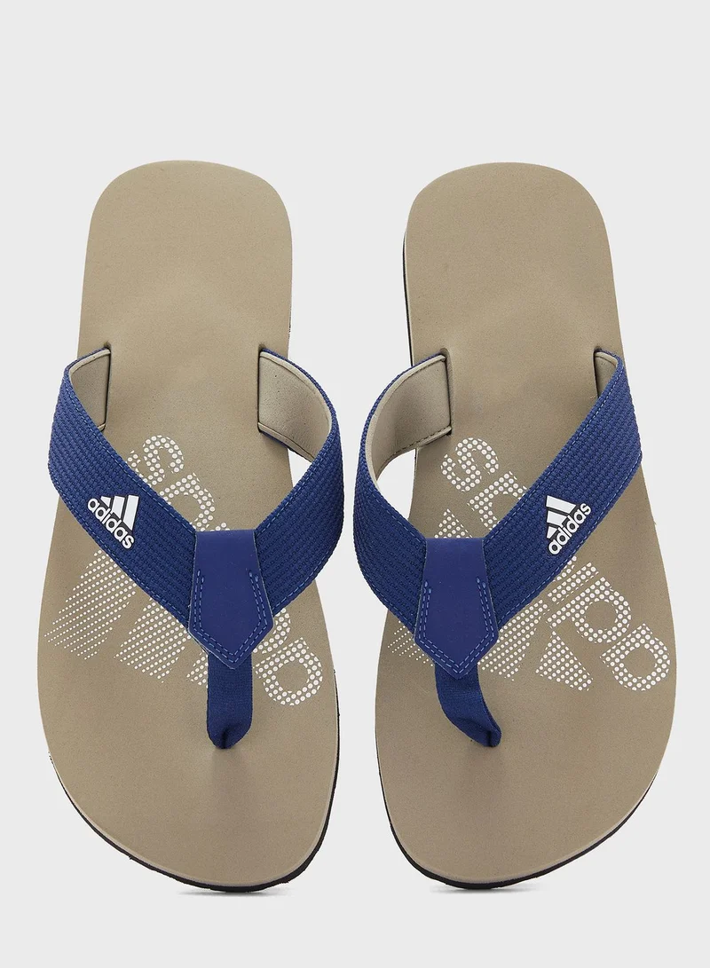 adidas شبشب بنمط ثونغ