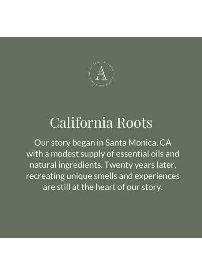 Archipelago Botanicals لوسيون العسل الأسود المرطب والمغذي للجسم يوميًا مع استرات الجوجوبا خالي من البارابين والفثالات والمواد المعدلة وراثيًا (18 أونصة) - Image 5