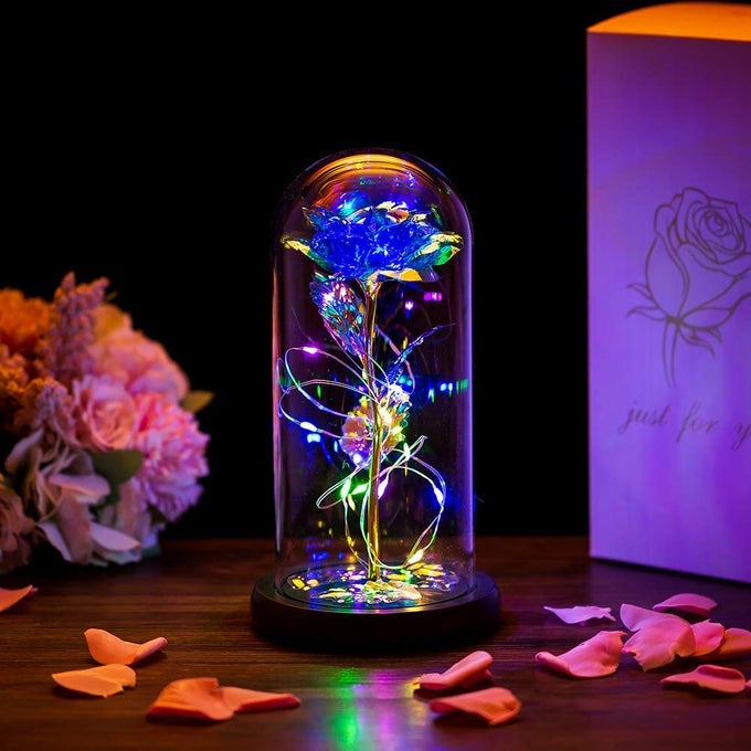 BEAUTY AND THE BEAST ROSE IN GLASS DOME FOREVER ROSE FLOWER KIT ENCHANTED GALAXY LIGHT GIFTS FOR WOMEN GIRLS ADULTS MUMS ON VALENTINE MOTHERS DAY WEDDING ANNIVERSARY BIRTHDAY BLUE