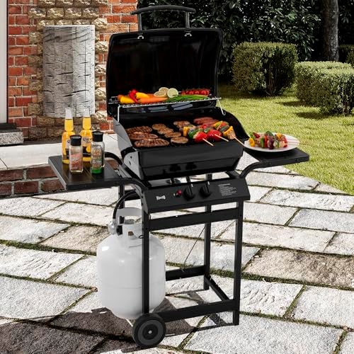 Feasto 2 Burner Propane Gas Grill with 26,500 BTUs Output, Porcelain-Enamel Main Body and Lid, Propane BBQ Grill with Warming Rack & Side Tables for Patio, Backyard, Poolside Gatherings - Image 2
