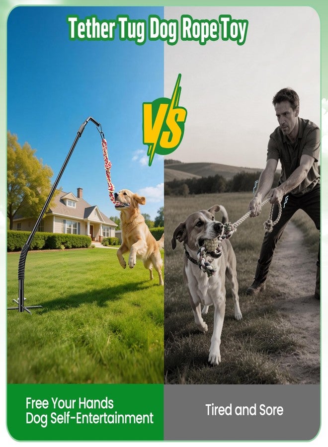 DESELL Tether Tug Outdoor Dog Rope Toy, Adjustment Height Upgraded Spring Pole, Includes 3 Chew Ropes, Interactive Tug of War Toy for Large Medium Small Dogs, Exercise Game in Yard, Lawn, Park - Image 4