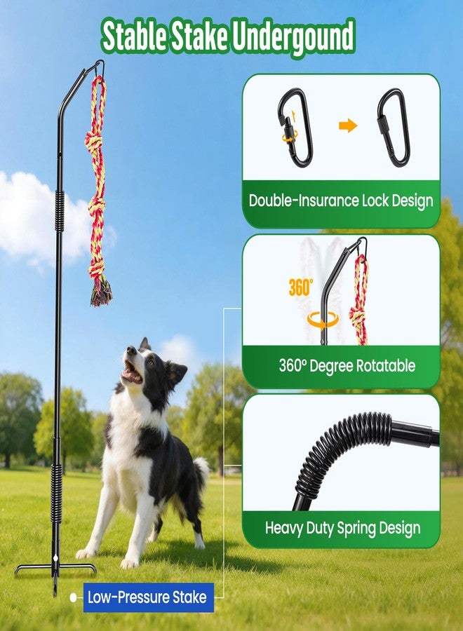 DESELL Tether Tug Outdoor Dog Rope Toy, Adjustment Height Upgraded Spring Pole, Includes 3 Chew Ropes, Interactive Tug of War Toy for Large Medium Small Dogs, Exercise Game in Yard, Lawn, Park - Image 3