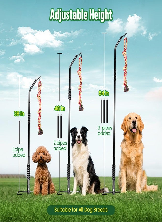 DESELL Tether Tug Outdoor Dog Rope Toy, Adjustment Height Upgraded Spring Pole, Includes 3 Chew Ropes, Interactive Tug of War Toy for Large Medium Small Dogs, Exercise Game in Yard, Lawn, Park - Image 5