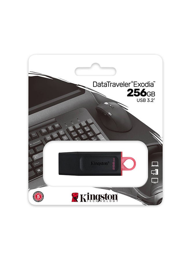 Kingston 265GB Exodia USB 3.20 Flash - DTX/265 - - Image 3