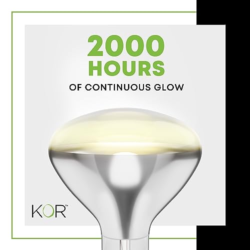 KOR 250R40/1 250-Watt, Incandescent R40 Reflector, Clear Head Lamp, Heat Flood Lamp Light Bulb, E26 Standard Medium Screw Base, 120V, 6,000 Hour Rated (Pack of 2-Clear-Heat Lamps) - Image 4