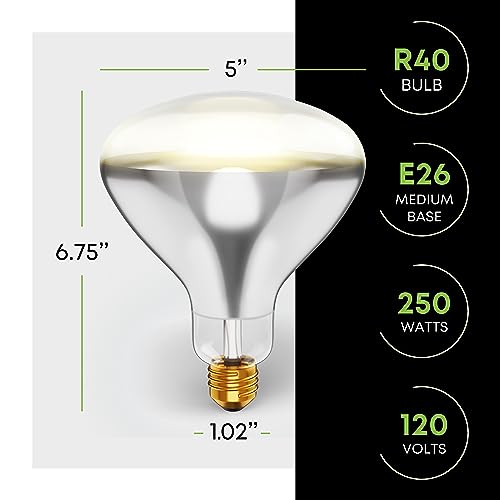 KOR 250R40/1 250-Watt, Incandescent R40 Reflector, Clear Head Lamp, Heat Flood Lamp Light Bulb, E26 Standard Medium Screw Base, 120V, 6,000 Hour Rated (Pack of 2-Clear-Heat Lamps) - Image 2