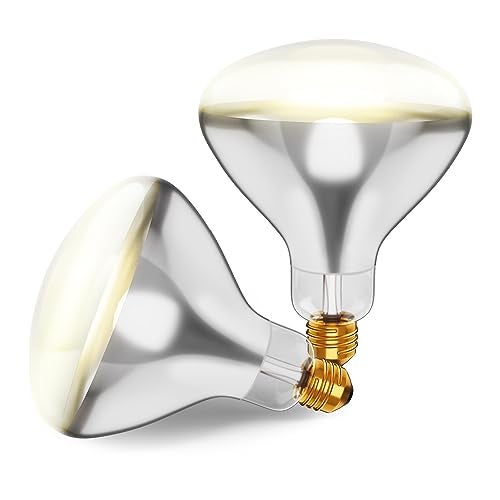 KOR 250R40/1 250-Watt, Incandescent R40 Reflector, Clear Head Lamp, Heat Flood Lamp Light Bulb, E26 Standard Medium Screw Base, 120V, 6,000 Hour Rated (Pack of 2-Clear-Heat Lamps) - Image 1