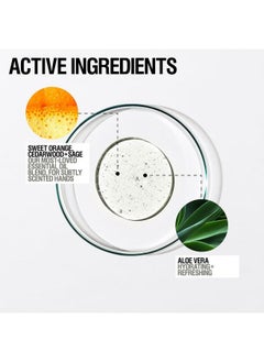 Grown Alchemist Grown Alchemist Invigorate Hand Wash. Sweet Orange, Cedarwood, Sage. Hydrates and Cleanses Skin, 10 Ounce (300mL)  - Image 2