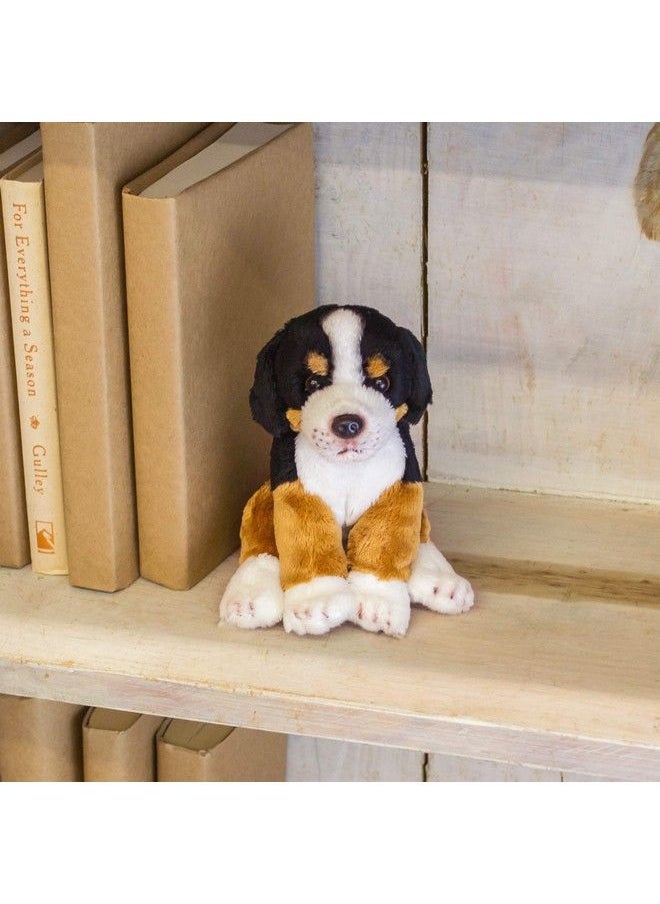 Bernese Mountain Dog Children'S Plush Beanbag Stuffed Animal Toy - pzsku/Z56A65D38C3E6E839706EZ/45/_/1692165403/5814af18-fa91-44c2-8dc1-f5359f45b9ae