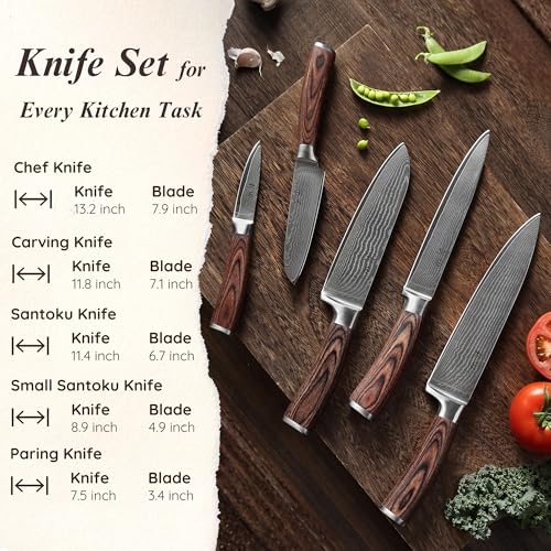 Wakoli EDIB 5-Piece Damascus Knife Set, Professional Kitchen Knives made of 67-Layer Damascus Steel with VG10 Core Blades, Ergonomic Pakkawood Handles, In Wooden Gift Box - Image 5