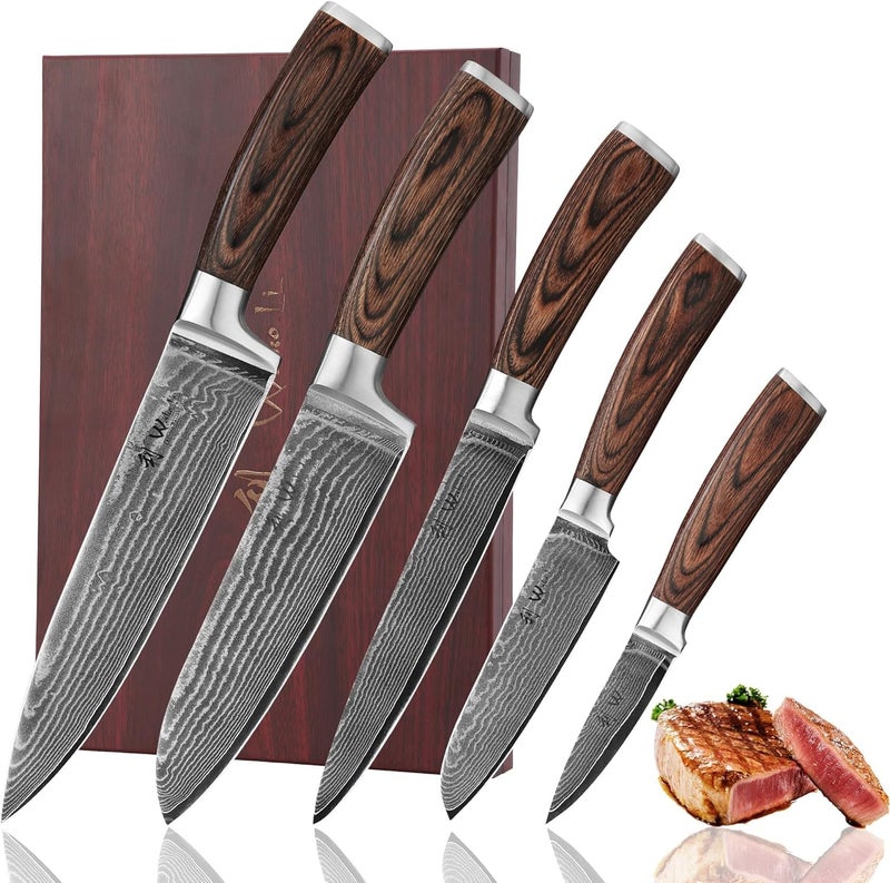 Wakoli EDIB 5-Piece Damascus Knife Set, Professional Kitchen Knives made of 67-Layer Damascus Steel with VG10 Core Blades, Ergonomic Pakkawood Handles, In Wooden Gift Box - Image 1
