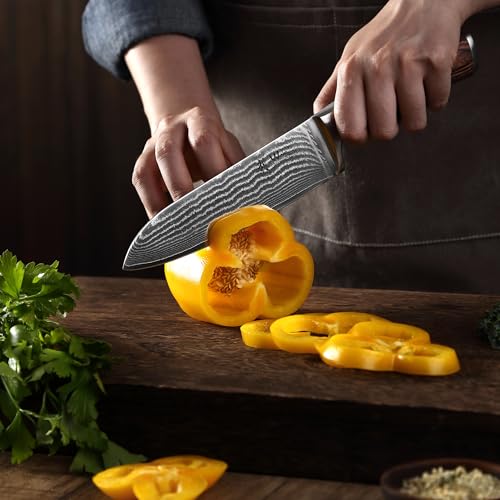 Wakoli EDIB 5-Piece Damascus Knife Set, Professional Kitchen Knives made of 67-Layer Damascus Steel with VG10 Core Blades, Ergonomic Pakkawood Handles, In Wooden Gift Box - Image 3