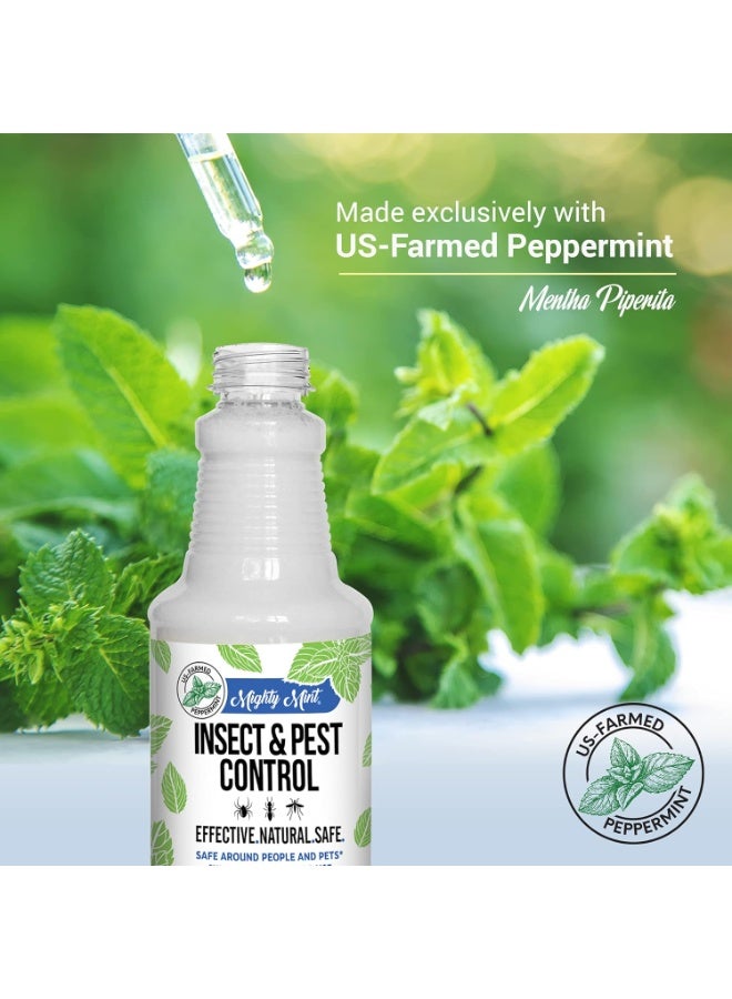 Mighty Mint 16 oz Peppermint Oil Insect  Pest Spray - for Spiders, Ants, and More - Image 3