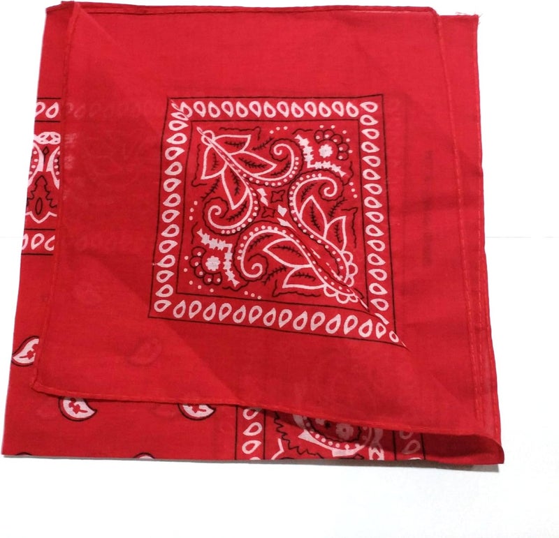 ComboCube 12 Pack(one Dozen) Multi-Purpose Cotton Paisley Cowboy Bandanas Headband for Men and Women - Image 2