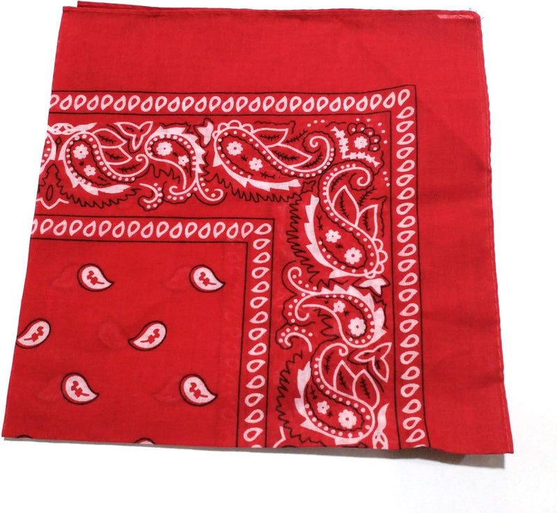 ComboCube 12 Pack(one Dozen) Multi-Purpose Cotton Paisley Cowboy Bandanas Headband for Men and Women - Image 5