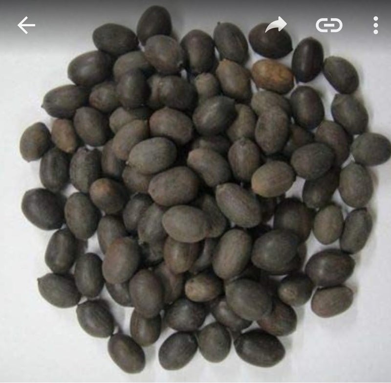 هوان ساماجري للبويا - هوان ساماجري نقي مع أعشاب طبيعية لكوند هوان، بوجا دورغا، بوجا منزلية، ياجيا، ديوالي ومناسبات أخرى (كامل غاتا) 400 جرام - Image 2