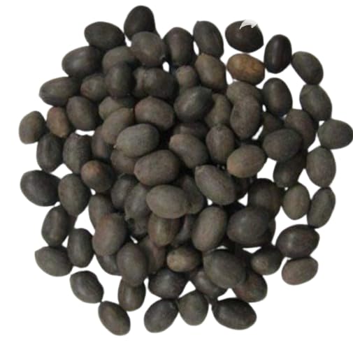 هوان ساماجري للبويا - هوان ساماجري نقي مع أعشاب طبيعية لكوند هوان، بوجا دورغا، بوجا منزلية، ياجيا، ديوالي ومناسبات أخرى (كامل غاتا) 400 جرام - Image 1