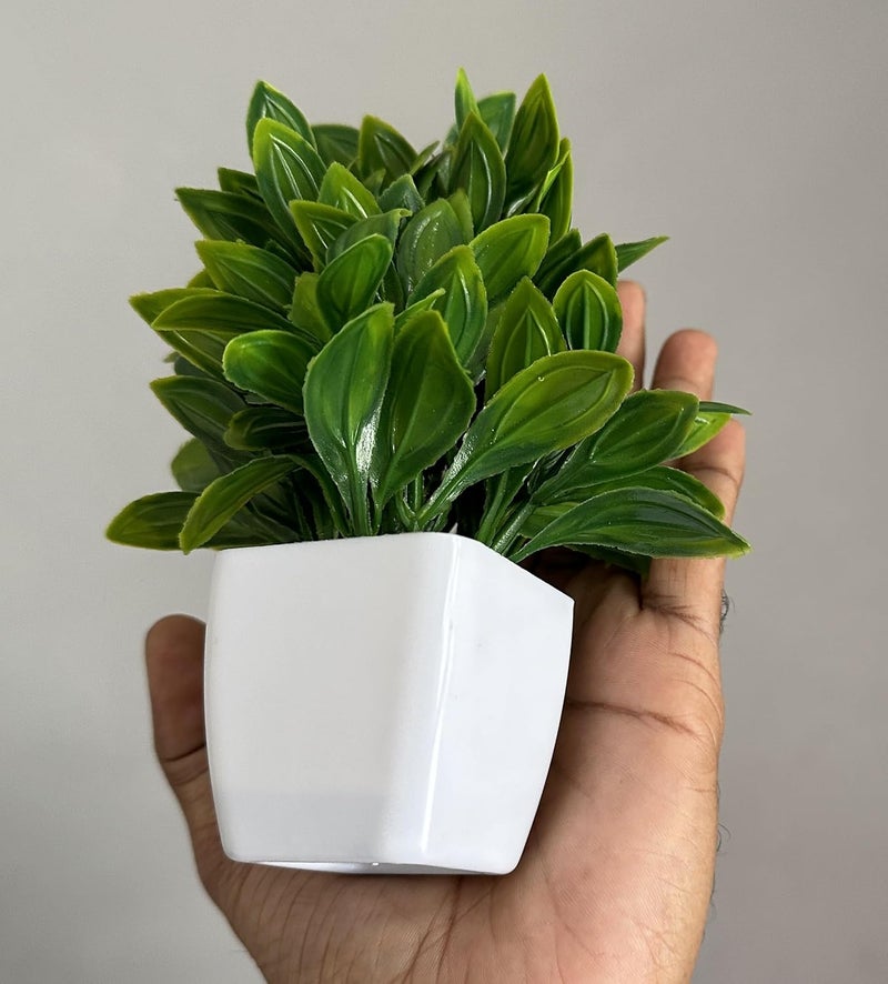 Litleo Plastic Artificial Plants Mini Fake Potted Plants, Small Eucalyptus Potted Faux Decorative Grass Plant With White Pot For Home Decor, Indoor, Office, Desk, Shelf, Table Decoration (Pack Of 8) - Image 3
