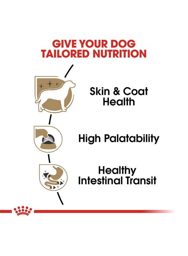 رويال كانين طعام الكلاب الرطب من رويال كانين بريد هيلث نيوتريشن تشيهواهوا للبالغين، رغيف في صلصة، علبة 3 أونصة (24 قطعة) - Image 3